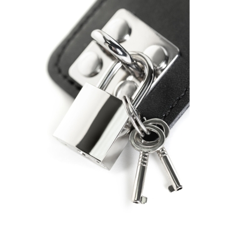 Ошейник с поводком ToyFa Theatre